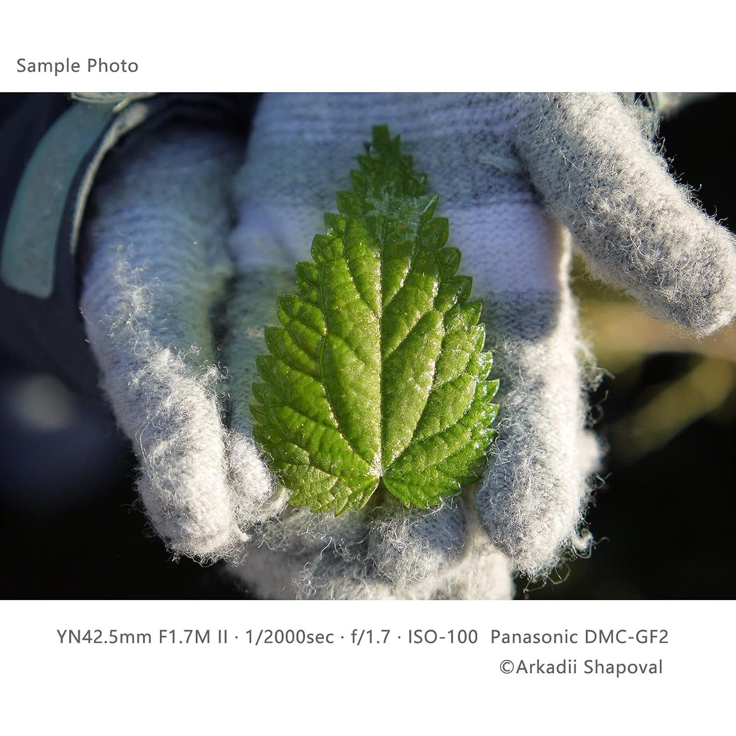 Lente Fijo YONGNUO YN42.5mm F1.7M II para Micro Cuatro Tercios