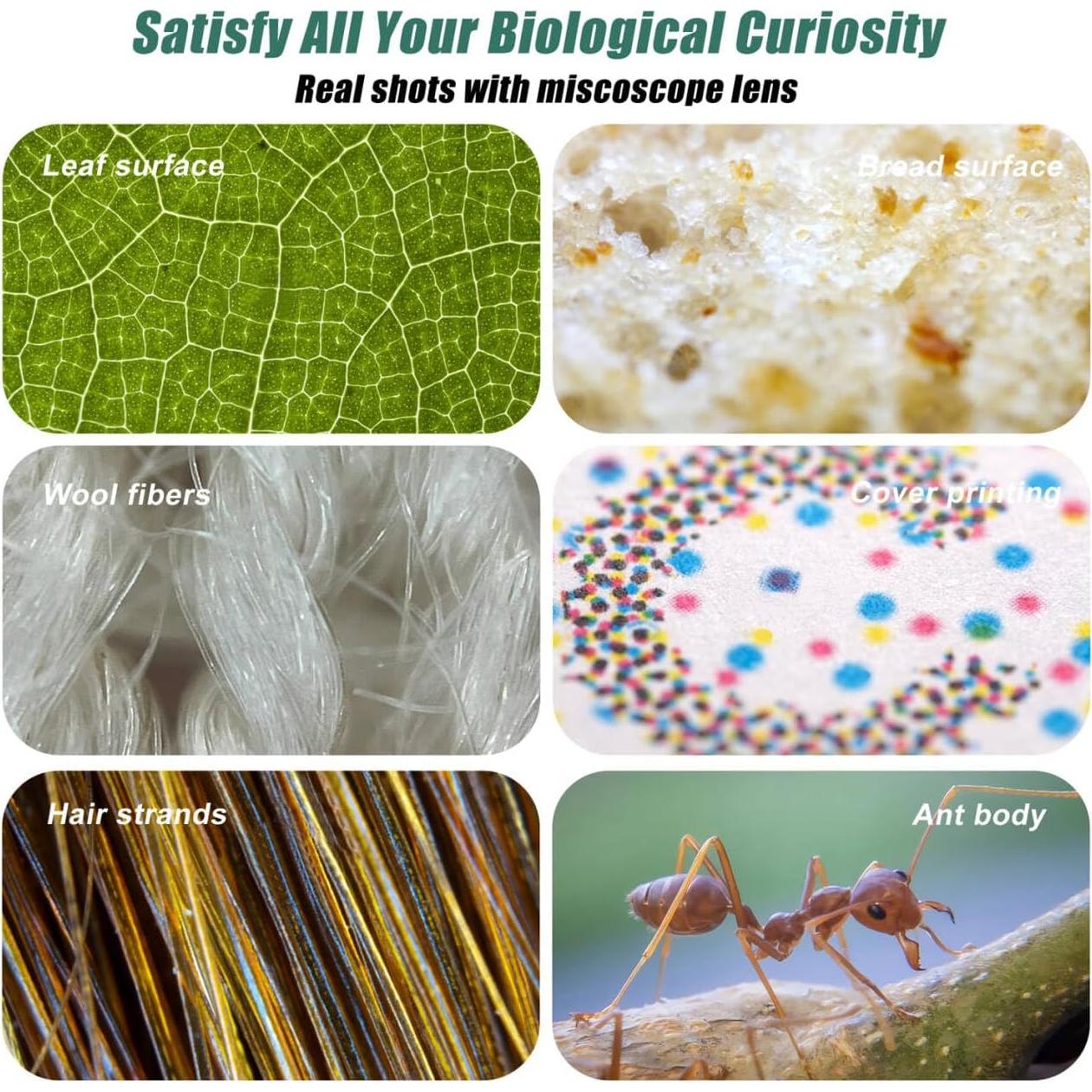 Microscopio Portátil Amoper 200X con Lente CPL y Luz UV