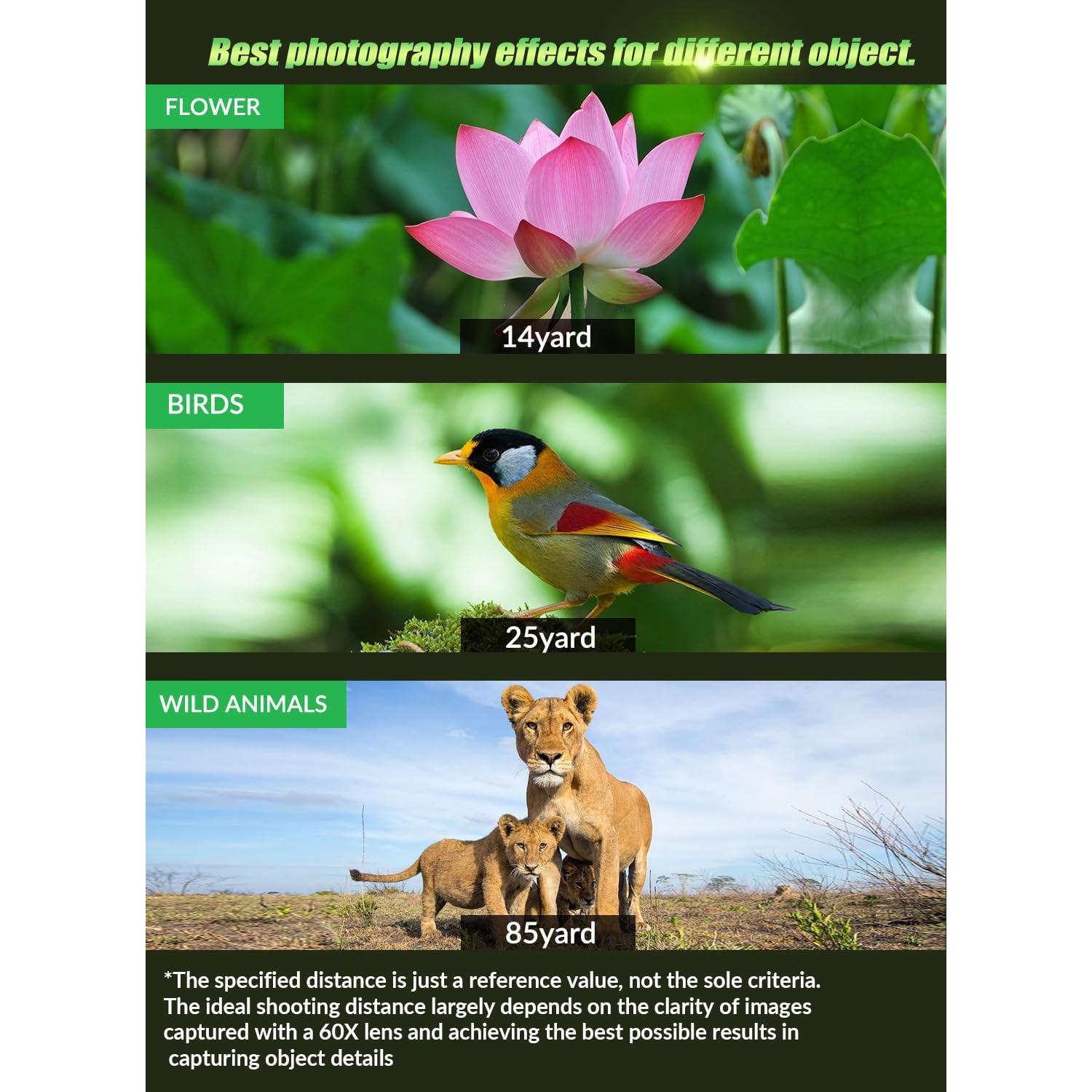 Lente Telefoto 60X MIAO LAB con Trípode 137 cm y Disparador Remoto