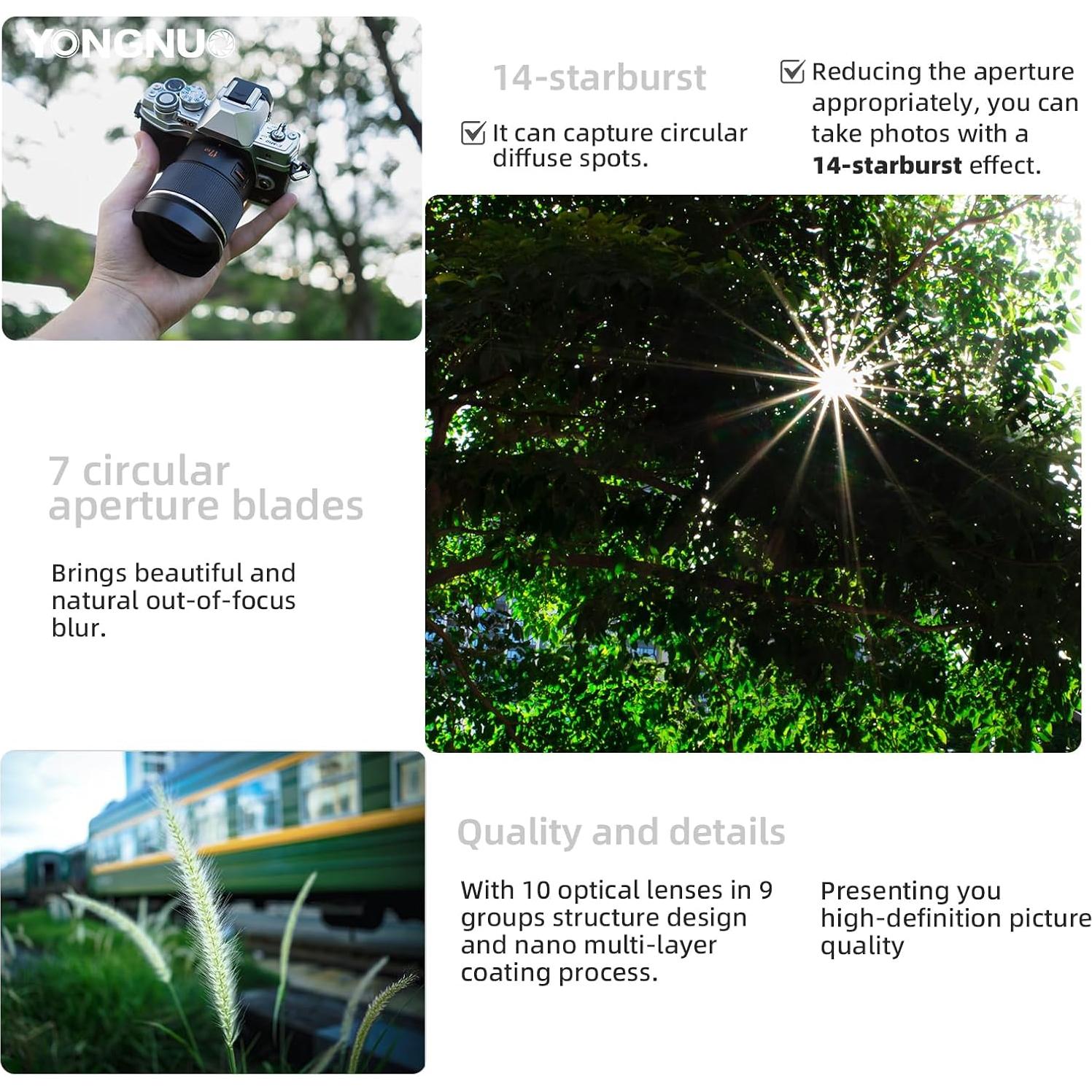 Lente YONGNUO YN17MM F1.7 M43 Auto Enfoque 17mm para Cámaras