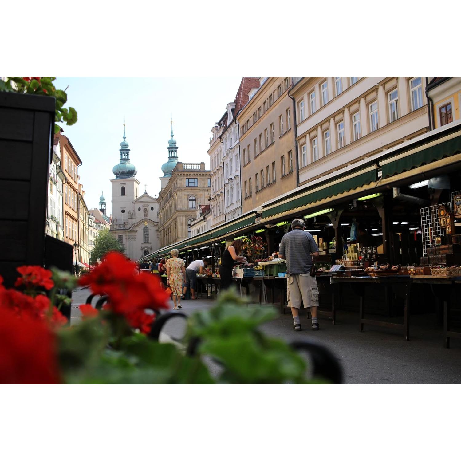 Objetivo Gran Angular Canon EF-S 24mm f/2.8 STM