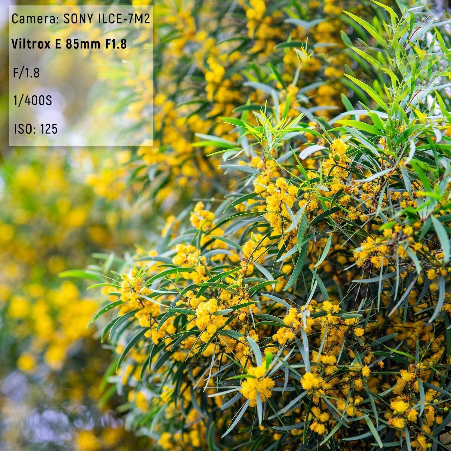 Lente VILTROX 85mm F1.8 II AF para Cámaras Sony E-Mount