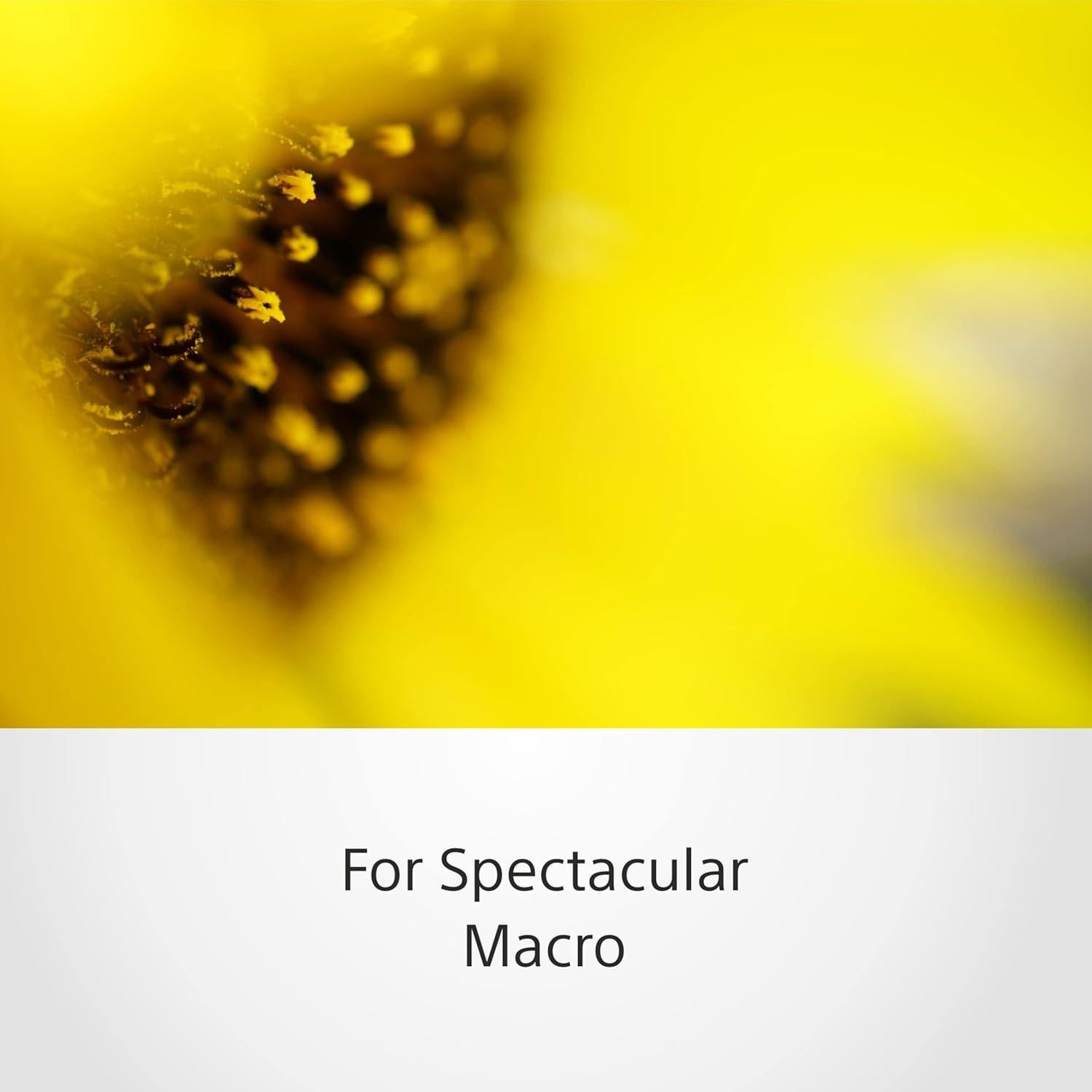 Objetivo Macro Sony SEL50M28 50mm F2.8 Montura E