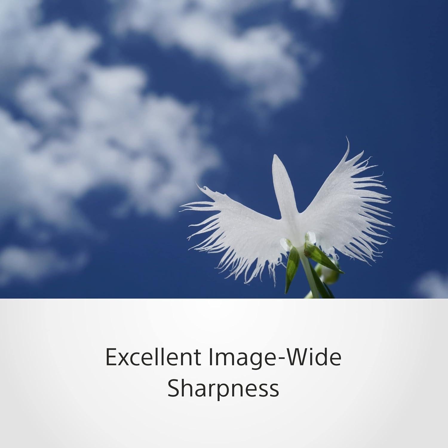 Objetivo Macro Sony SEL50M28 50mm F2.8 Montura E