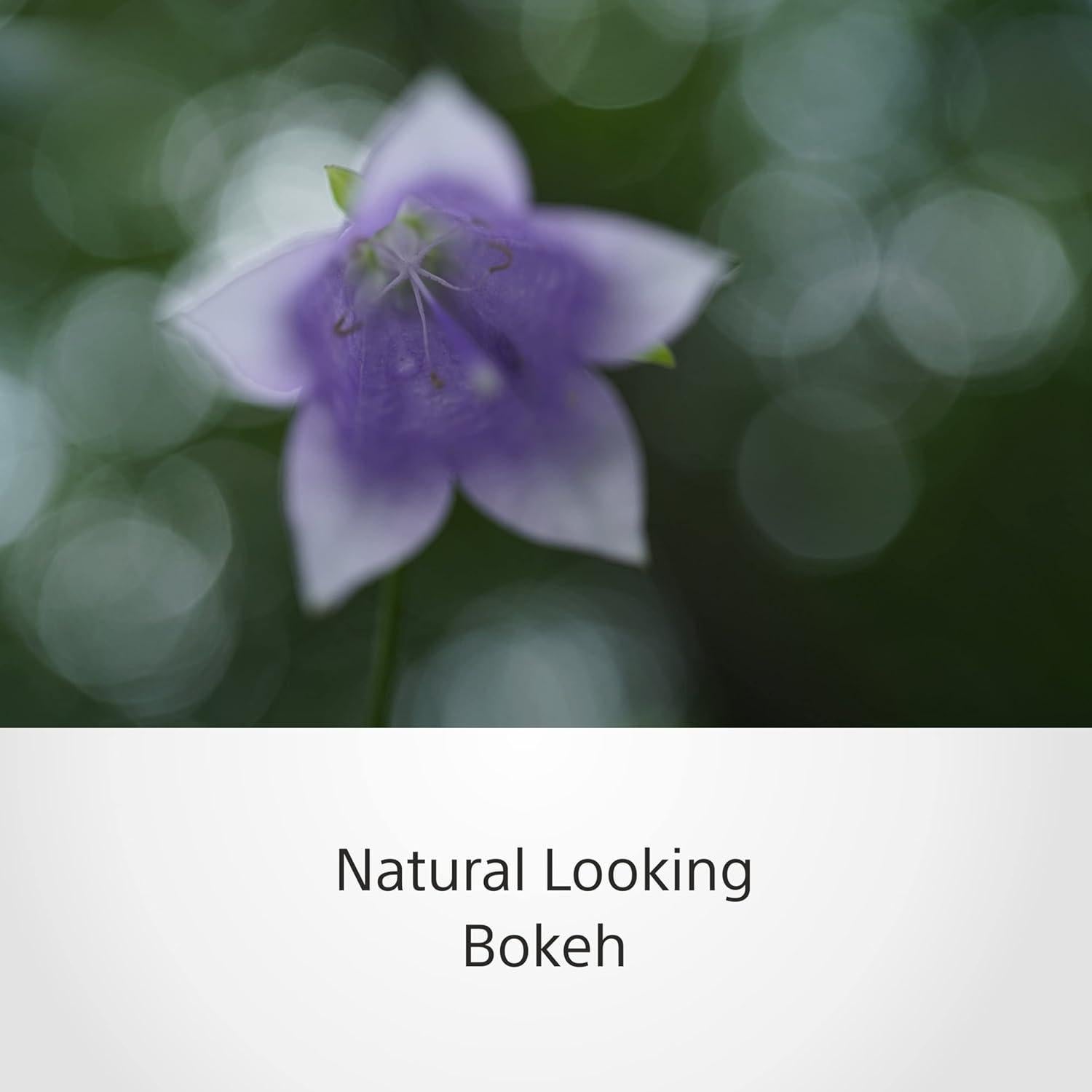 Objetivo Macro Sony SEL50M28 50mm F2.8 Montura E