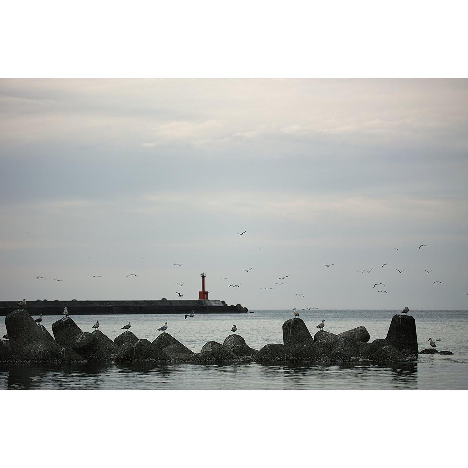 Lente Sigma 50-100mm f/1.8 DC HSM Art para Nikon