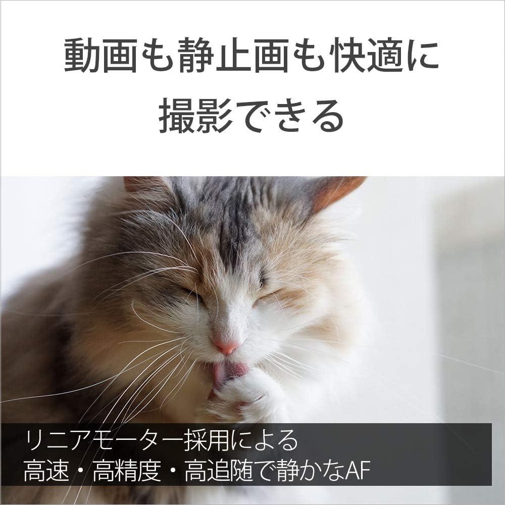 Lente Prime Sony SEL55F18Z 55mm F1.8 Montura E Formato Completo