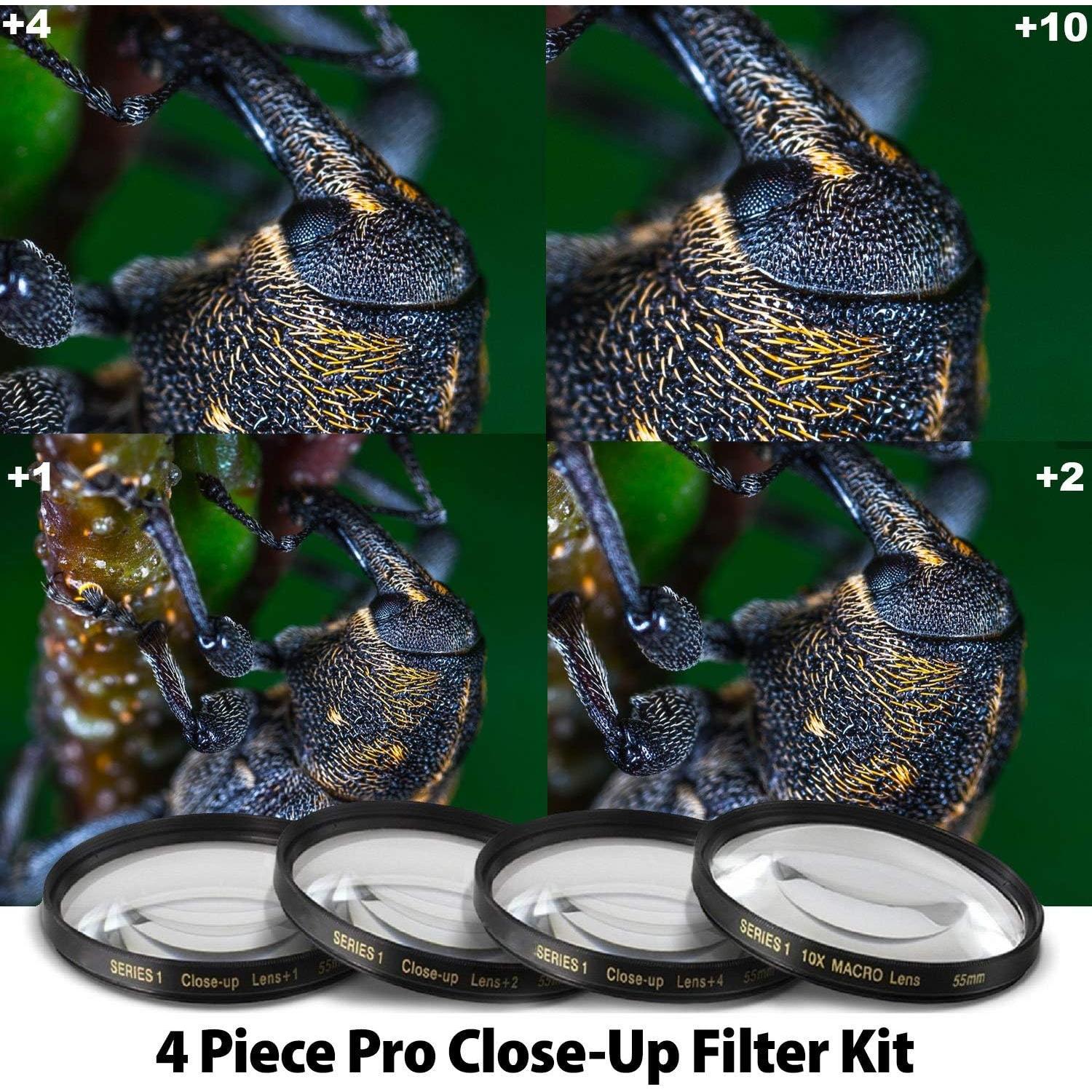 Nikon NIKKOR Z 50mm f/1.8 S Prime Lens (20083) with 64GB Ultra SDHC Memory Card + Padded Lens Case + 70-Inch Pro Monopod + 8-Piece Filter Kit (Macro, UV, CPL, FLD) (Renewed)