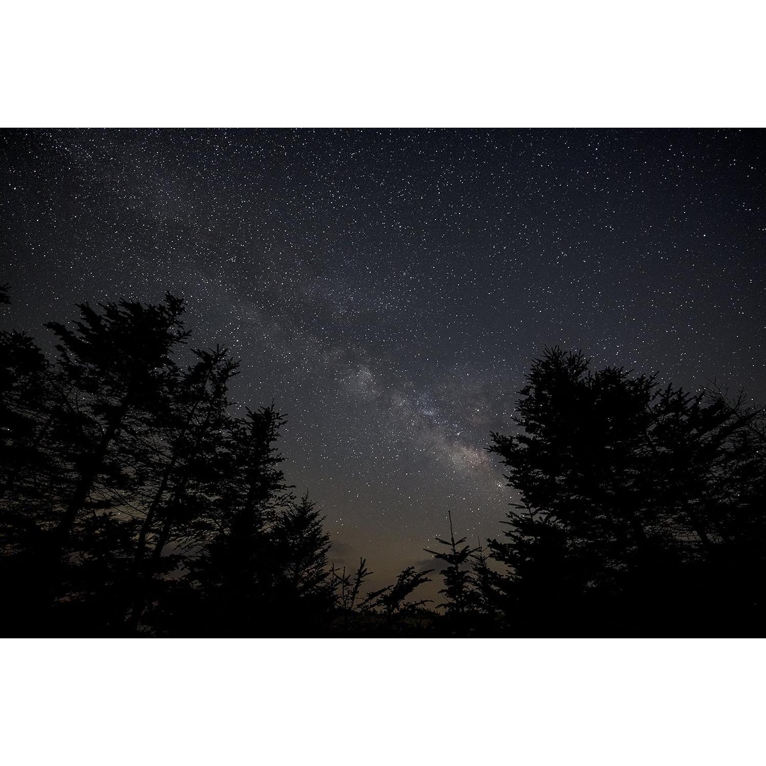 Lente Sigma 14mm f/1.8 DG HSM Art para cámaras Sony E