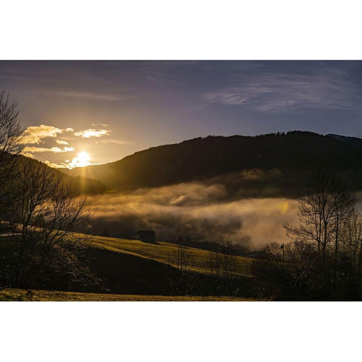 Lente Leica Summicron-SL 50mm f/2 ASPH. para cámaras L