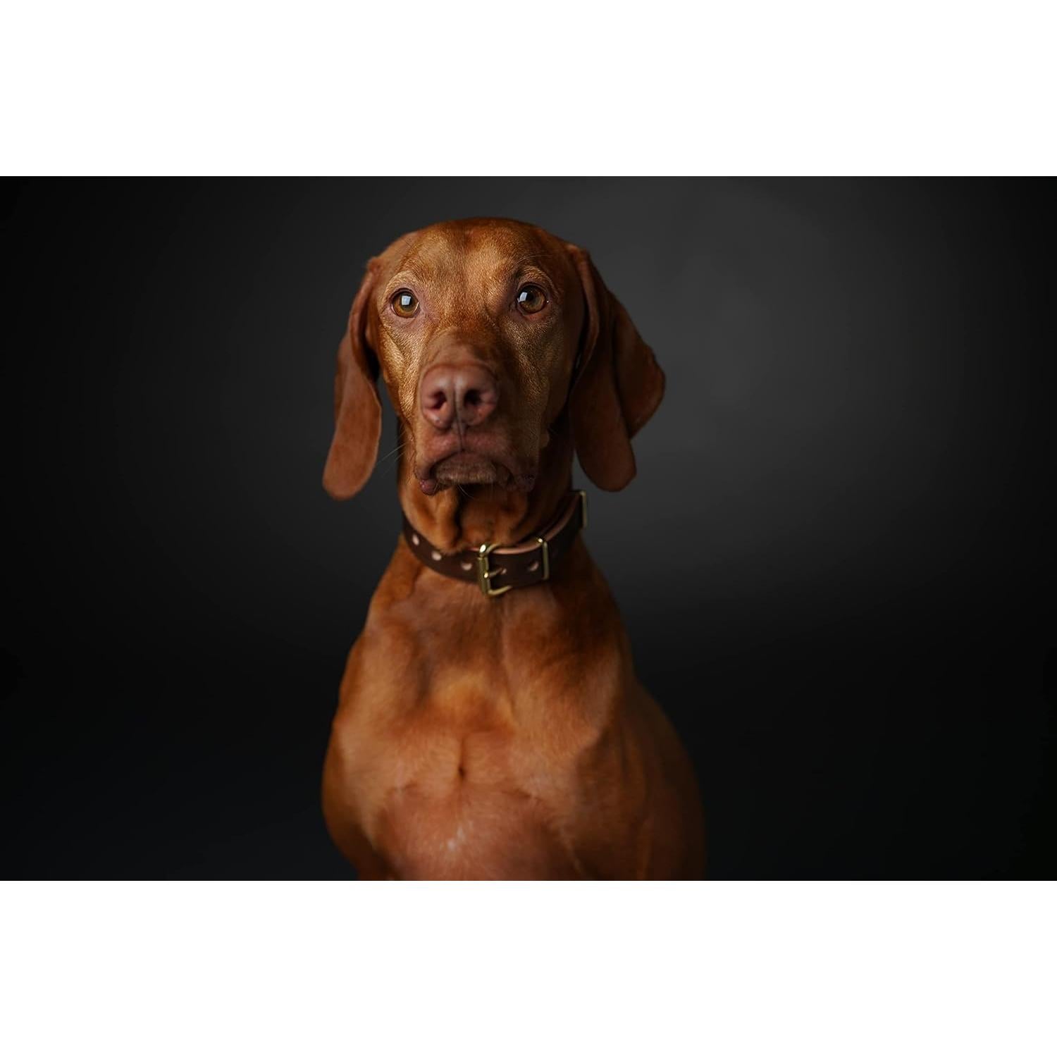 Lente Sony SEL50F14Z 50mm f/1.4 ZA Planar ZEISS