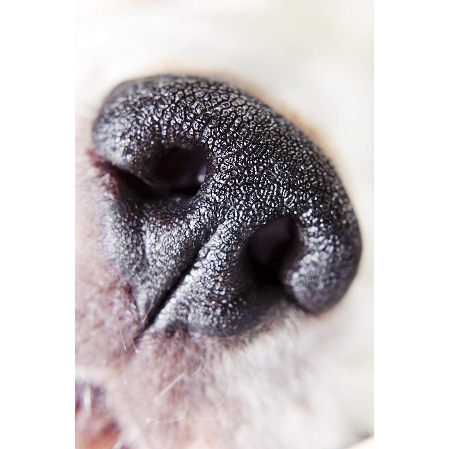 Lente Macro 10x Digital Nc para Sony FE 50mm f/1.8