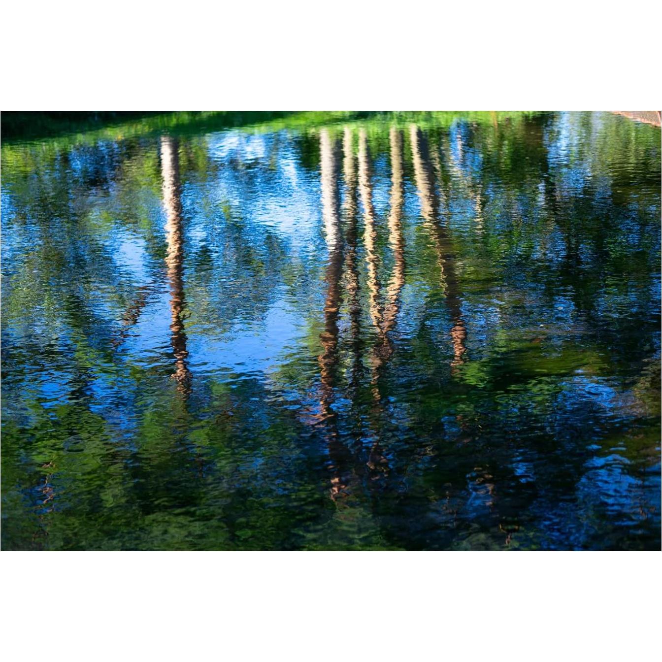 Lente Sigma 56mm F1.4 E-Mount para Sony - Compacto y Ligero