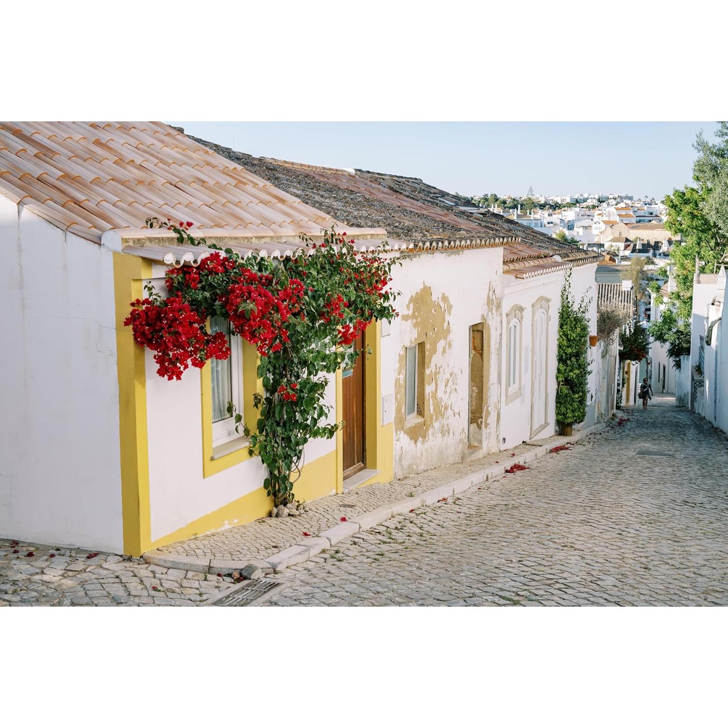 Objetivo Nikon NIKKOR Z 50mm f/1.4 para cámaras sin espejo