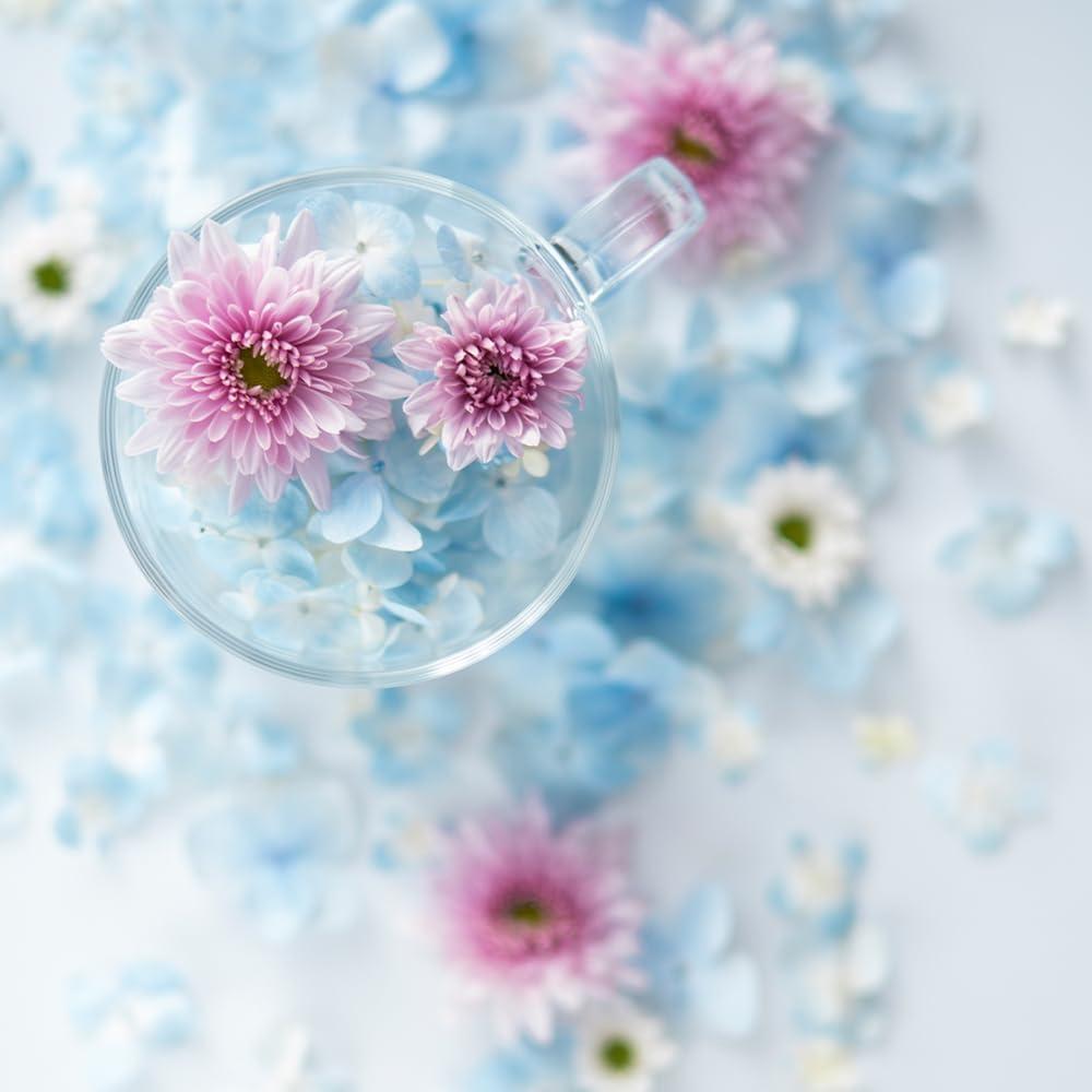 Objetivo Fujifilm XF 50mm F1.0 R WR - Resistente a la intemperie