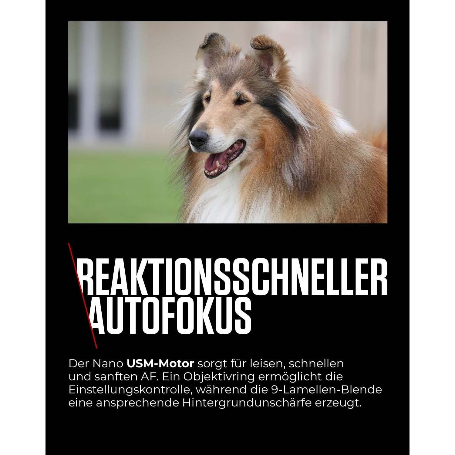 Lente Canon RF 100-400mm F5.6-8 IS USM para Cámaras R