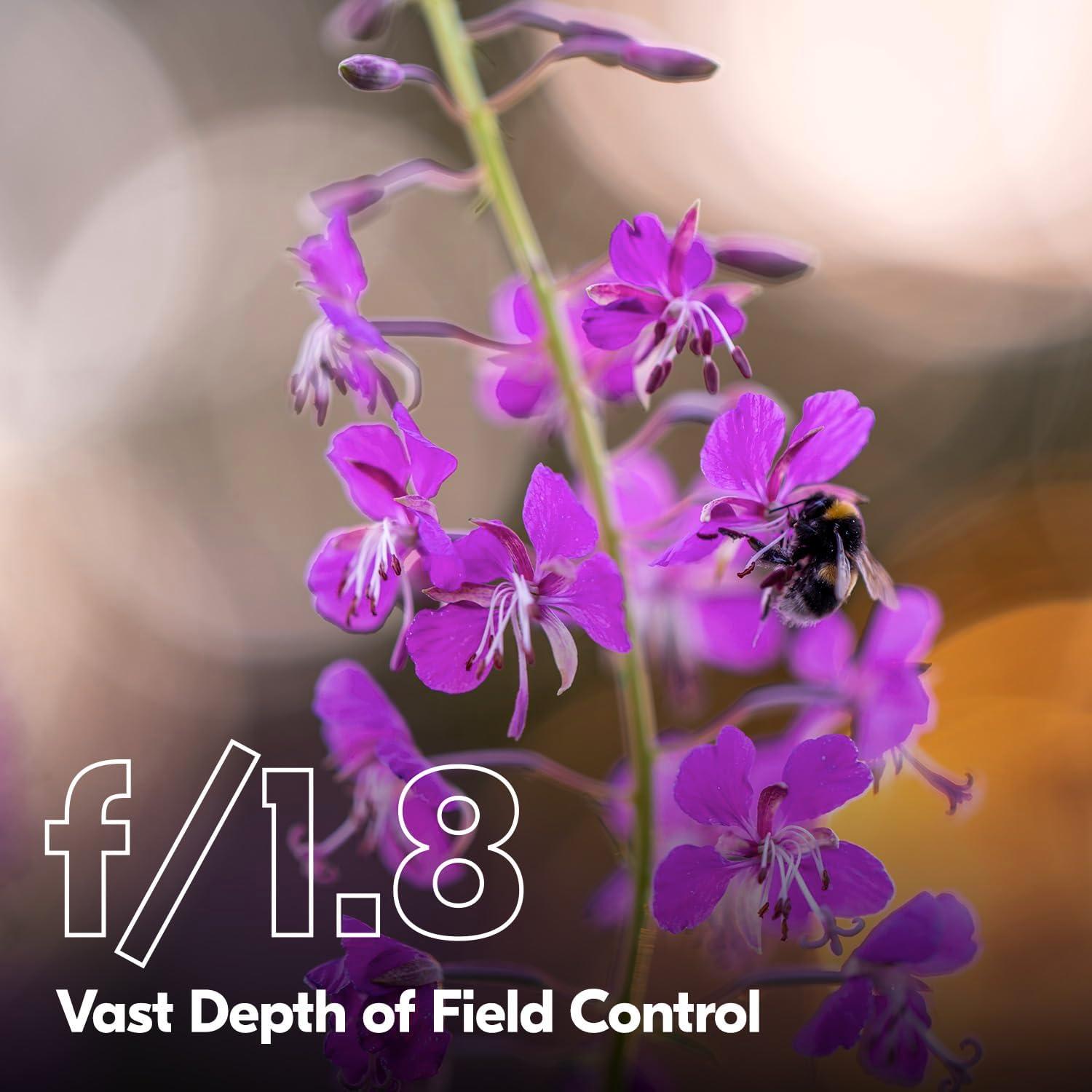 Lente Nikon NIKKOR Z 135mm f/1.8 S Plena para Cámaras Z