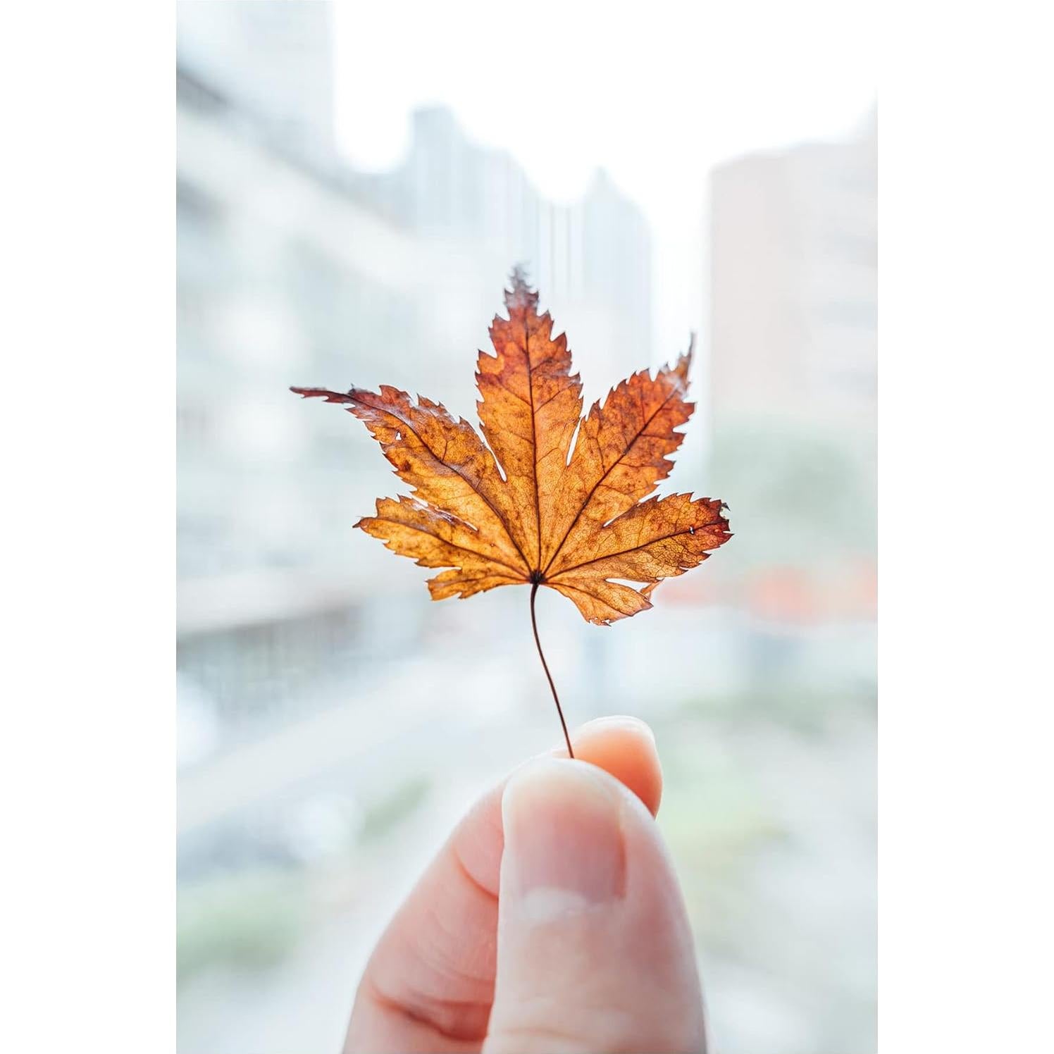 Lente Zoom Nikon NIKKOR Z 28-75mm f/2.8 para Cámaras Sin Espejo