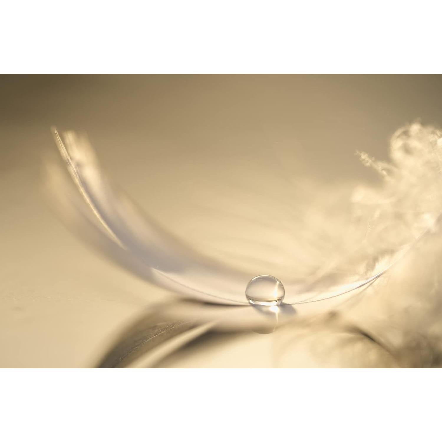 Objetivo Macro Nikon NIKKOR Z 105mm f/2.8 VR S Renovado