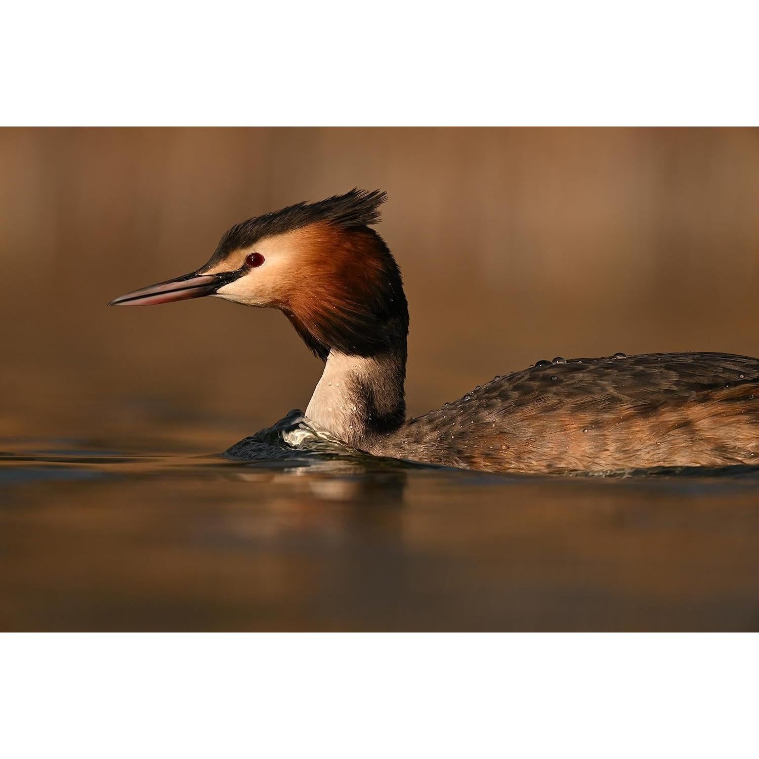 Lente Zoom NIKON NIKKOR Z 180-600mm f/5.6-6.3 VR