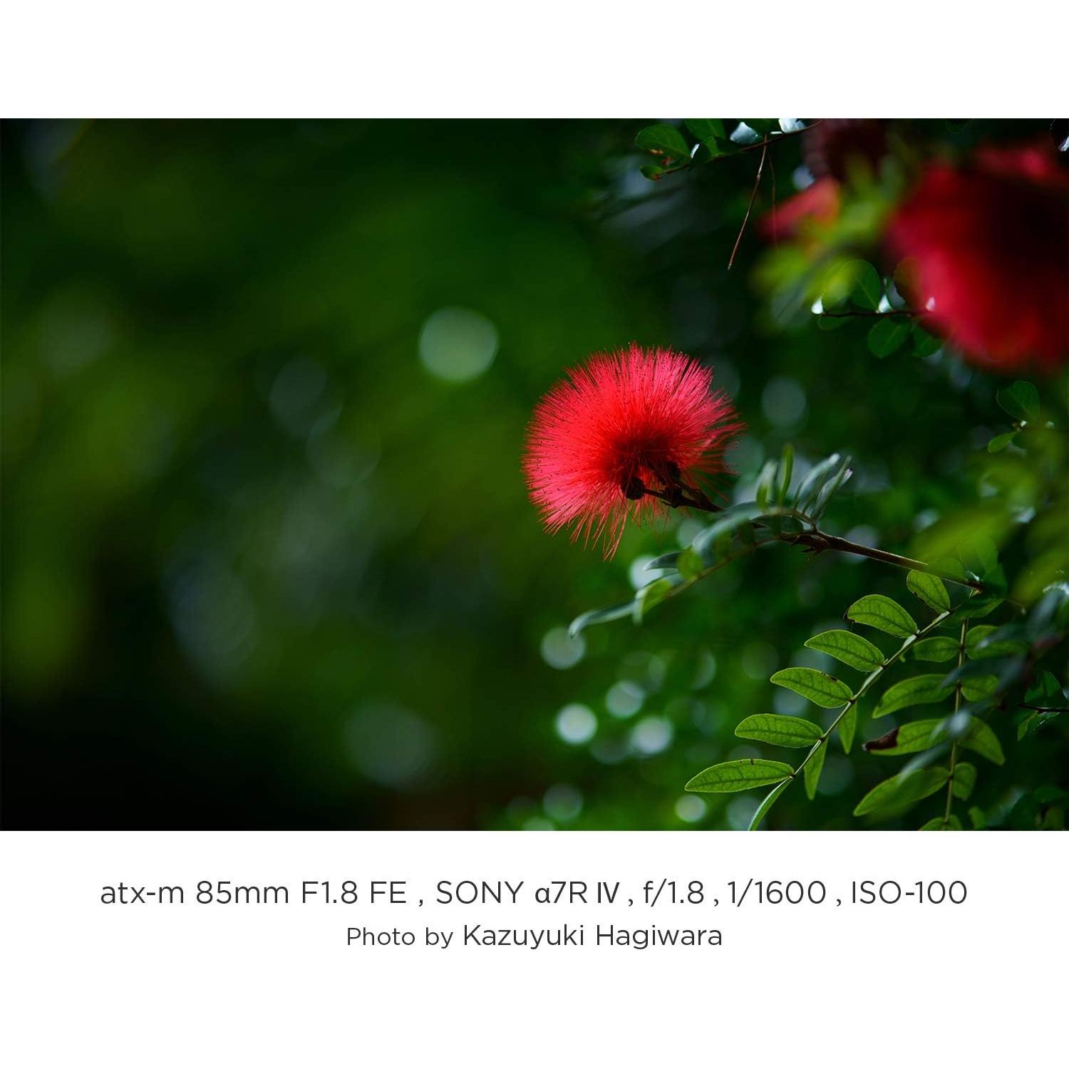 Objetivo Tokina atx-m 85mm F1.8 para Sony FE - Alta Calidad