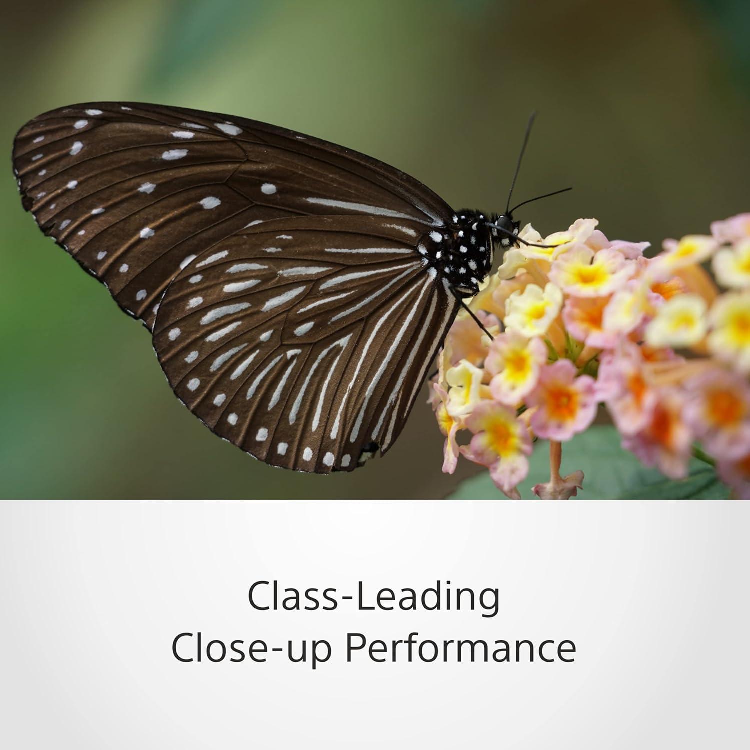 Lente Telefoto Zoom Sony FE 70-300mm F4.5-5.6 G OSS