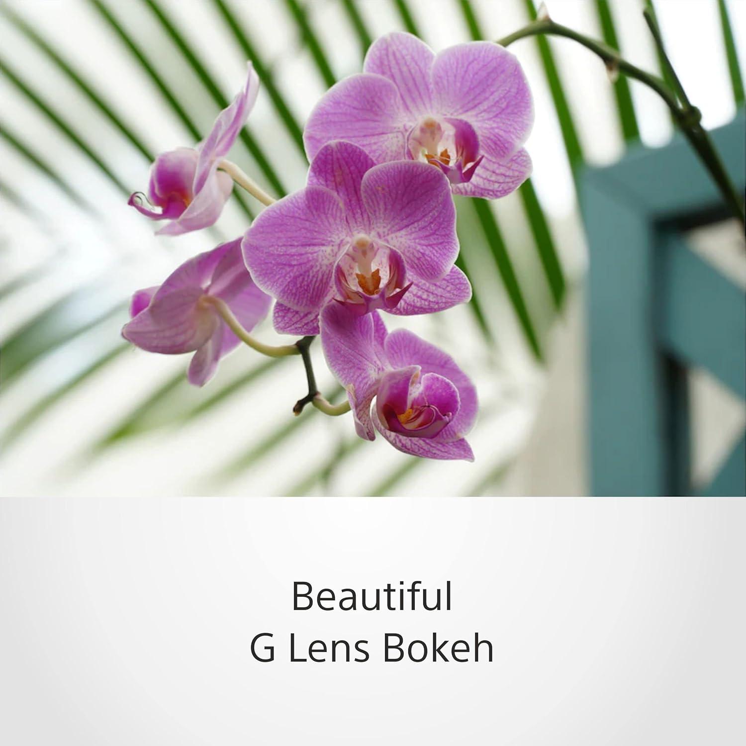 Lente Sony SELP18105G E PZ 18-105mm F4 G OSS Negro