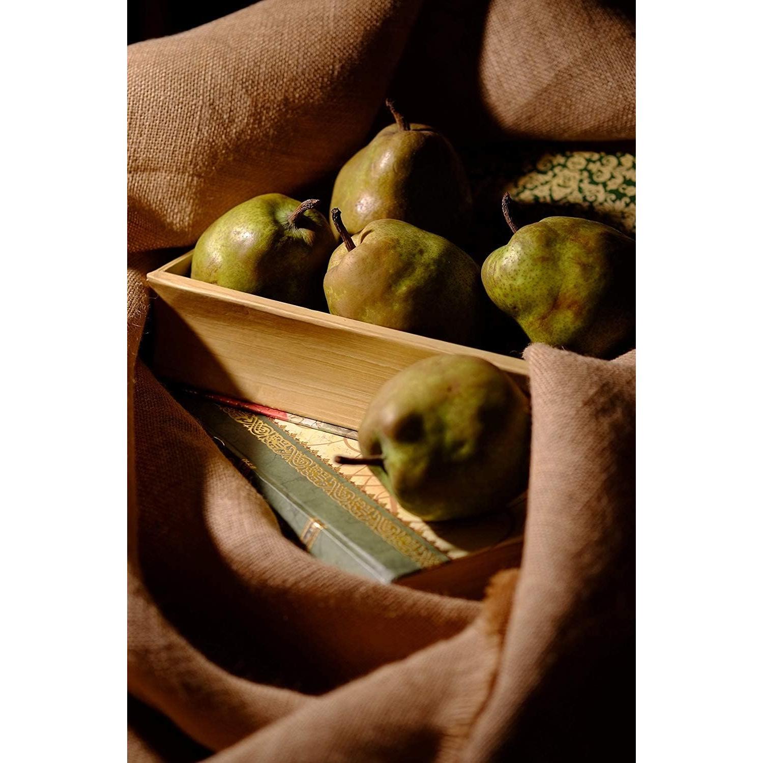 Fujifilm Fujinon XF 60mm F2.4 Macro - Lente 215g