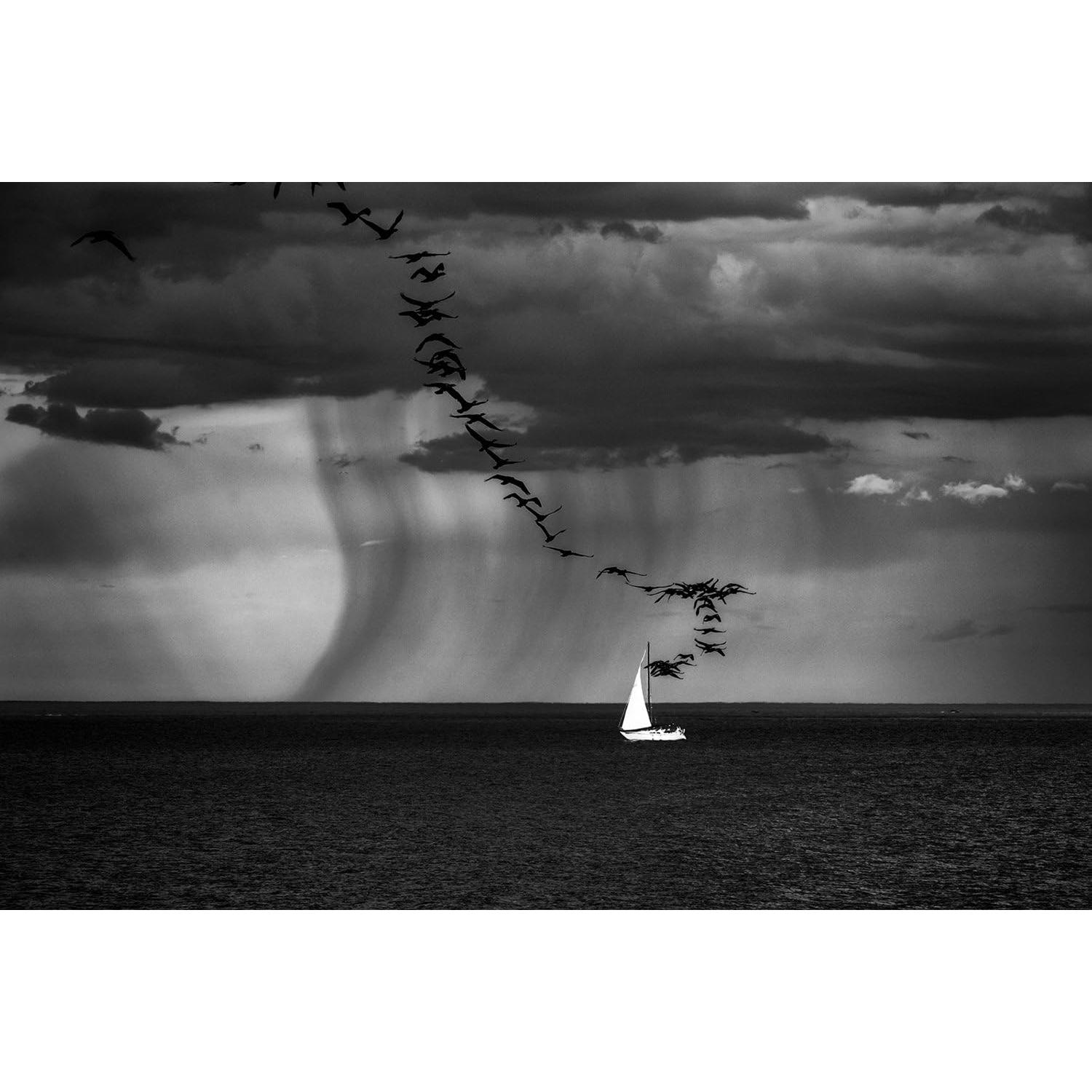 Lente Sigma 150-600mm f/5-6.3 DG OS HSM para Canon