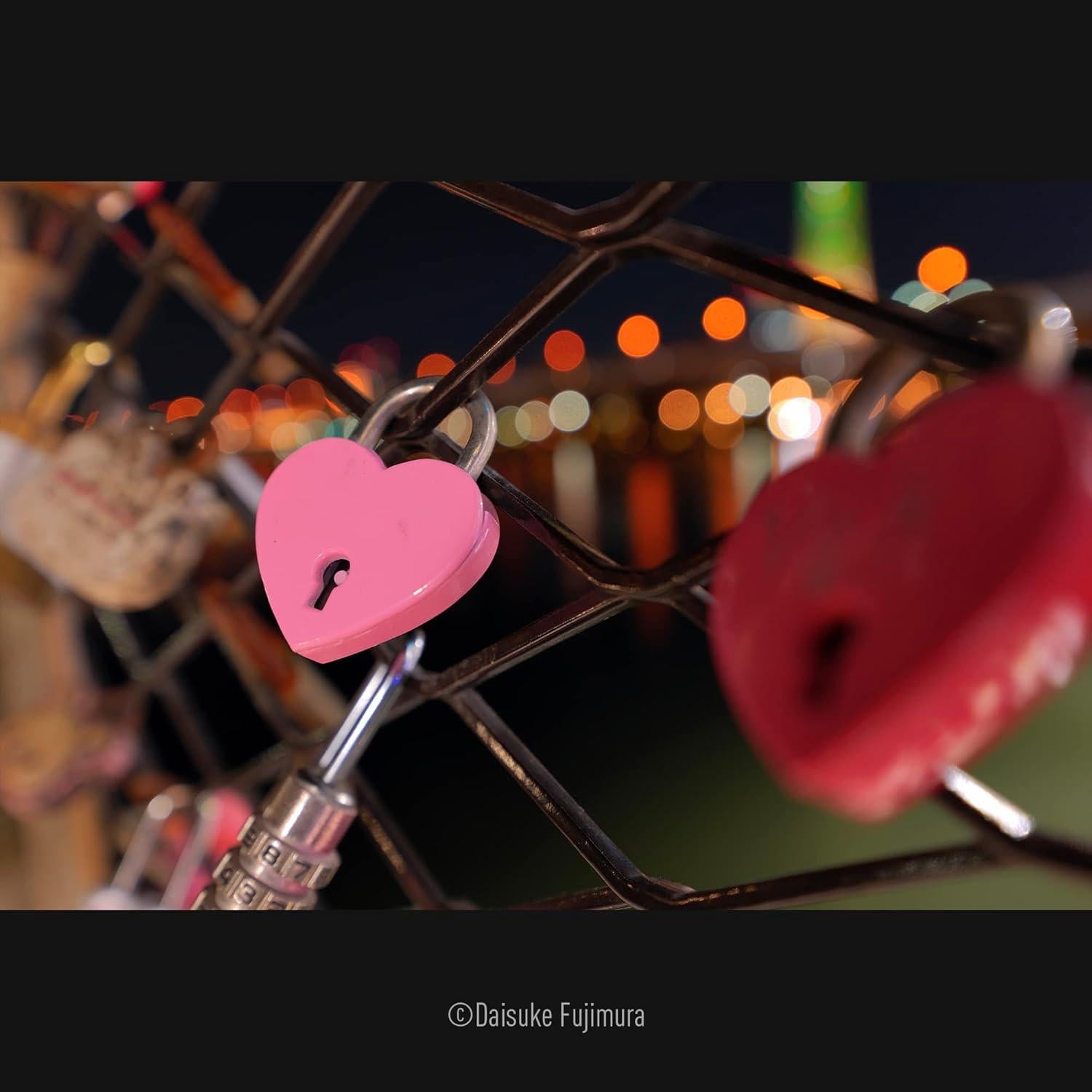 Lente Zoom Ultra Gran Angular Panasonic LUMIX S 14-28mm F4-5.6