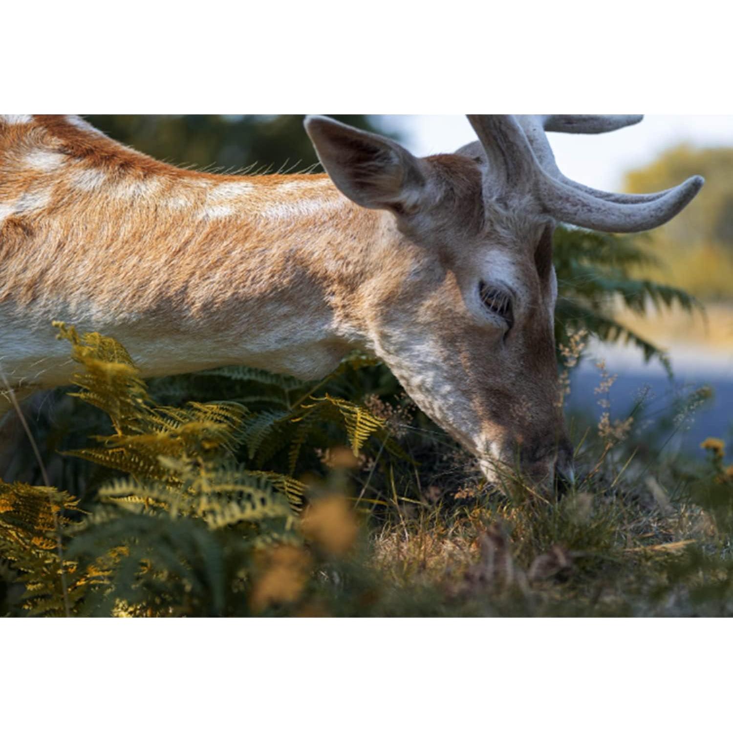 Lente Macro Tokina ATX-i 100mm F2.8 FF Montura Canon EF