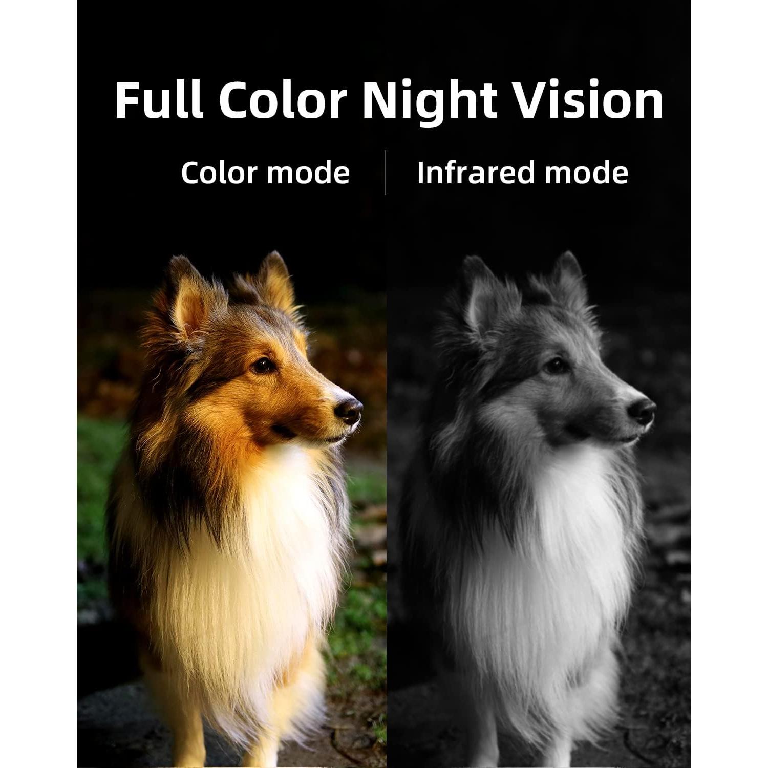 Cámara de Seguridad Inalámbrica Noorio B310 2K Solar 16GB