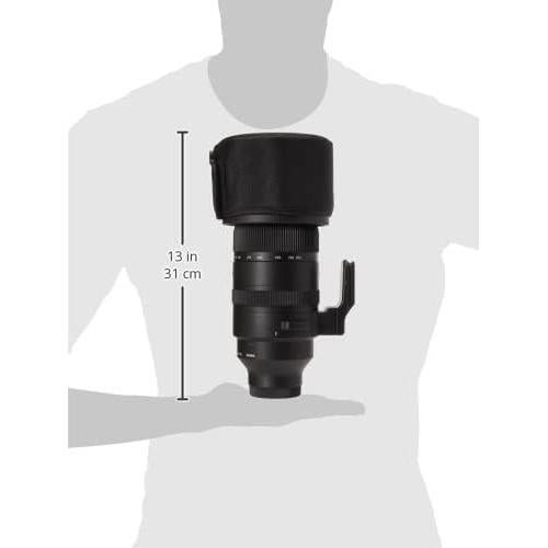 Lente Sigma 150-600mm F5-6.3 DG DN para Sony E