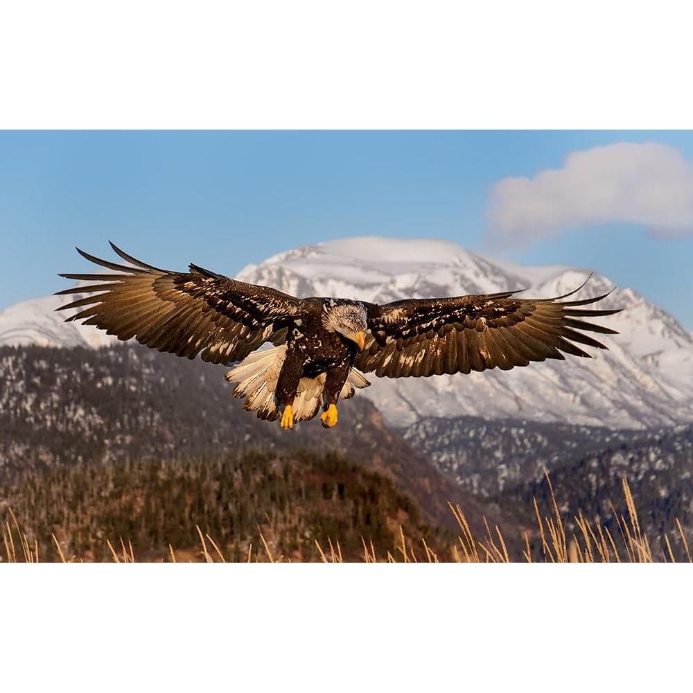 Lente Sigma 18-250mm f3.5-6.3 DC Macro para Canon