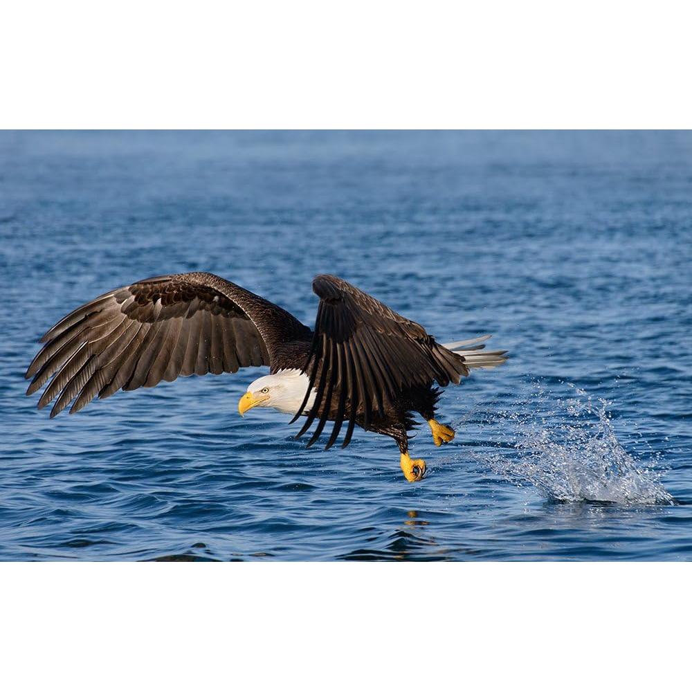 Lente Sigma 18-250mm f3.5-6.3 DC Macro para Canon