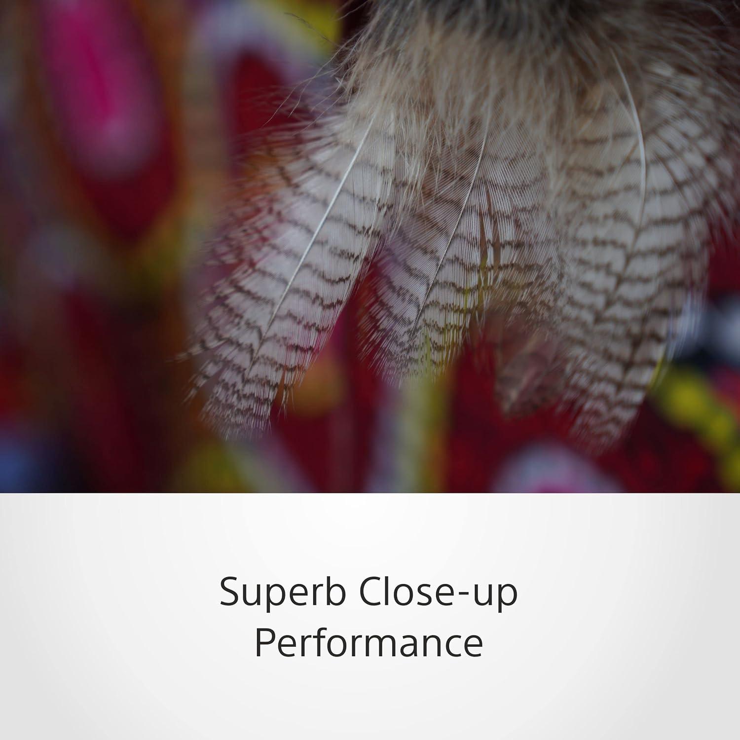 Lente Zoom Sony E 16-55mm f/2.8 G para APS-C