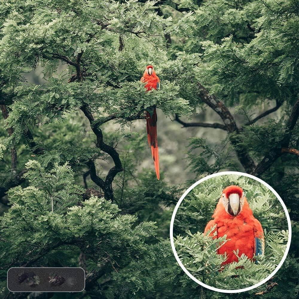 Teleobjetivo Zoom Manual 420-1600mm f/8.3 Canon EOS R