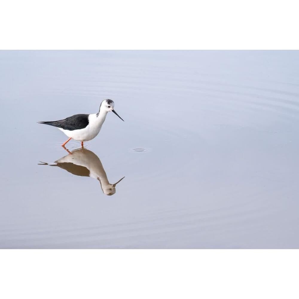 Lente Sigma 100-400mm f/5-6.3 DG DN OS para FUJIFILM X