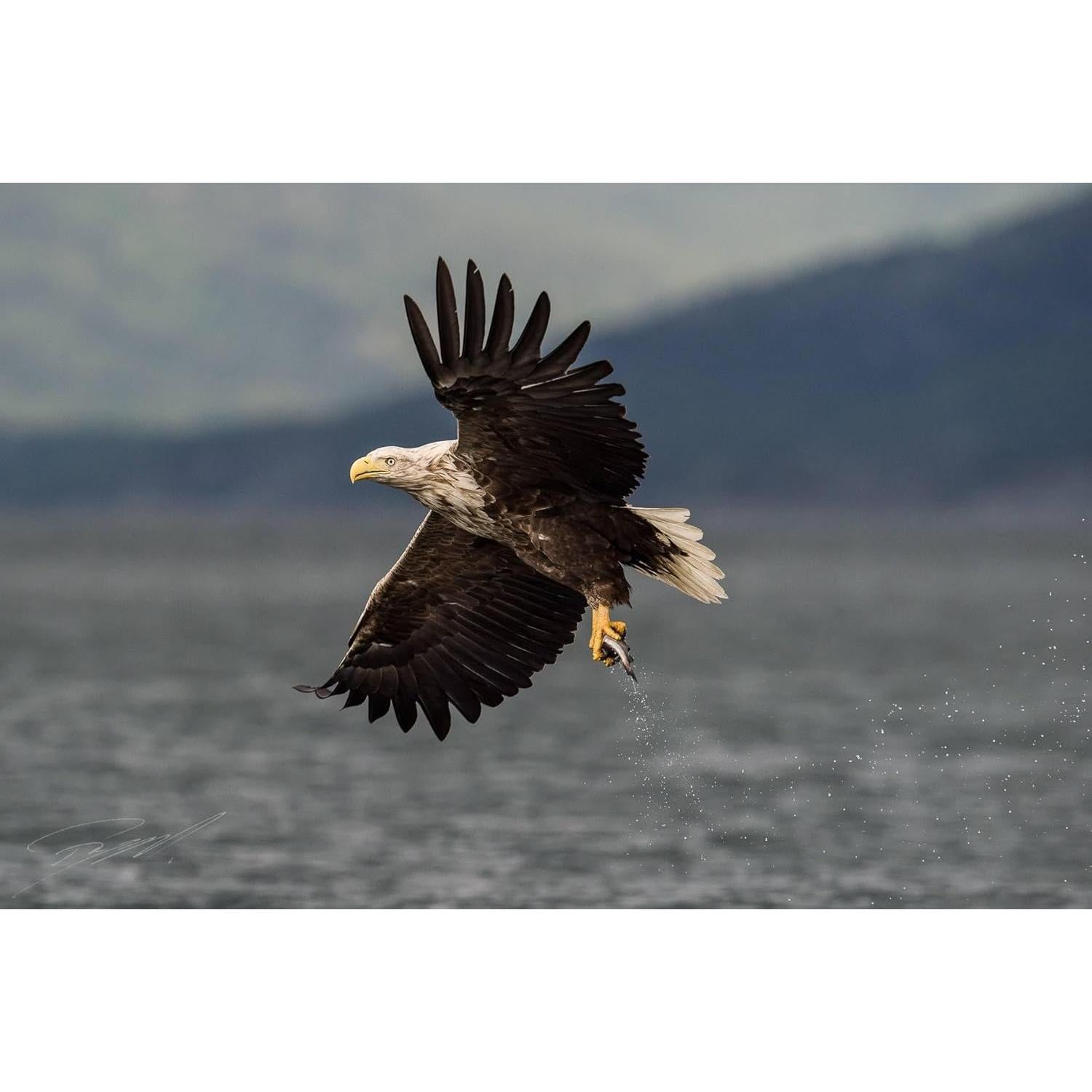 Lente Telefoto Manual OPTURA HD 500mm f/8 para Pentax K