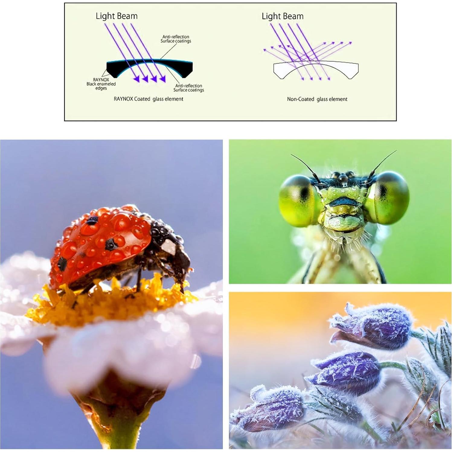 Lente Macro Universal EooEye 38-52mm + Limpiador y Paño