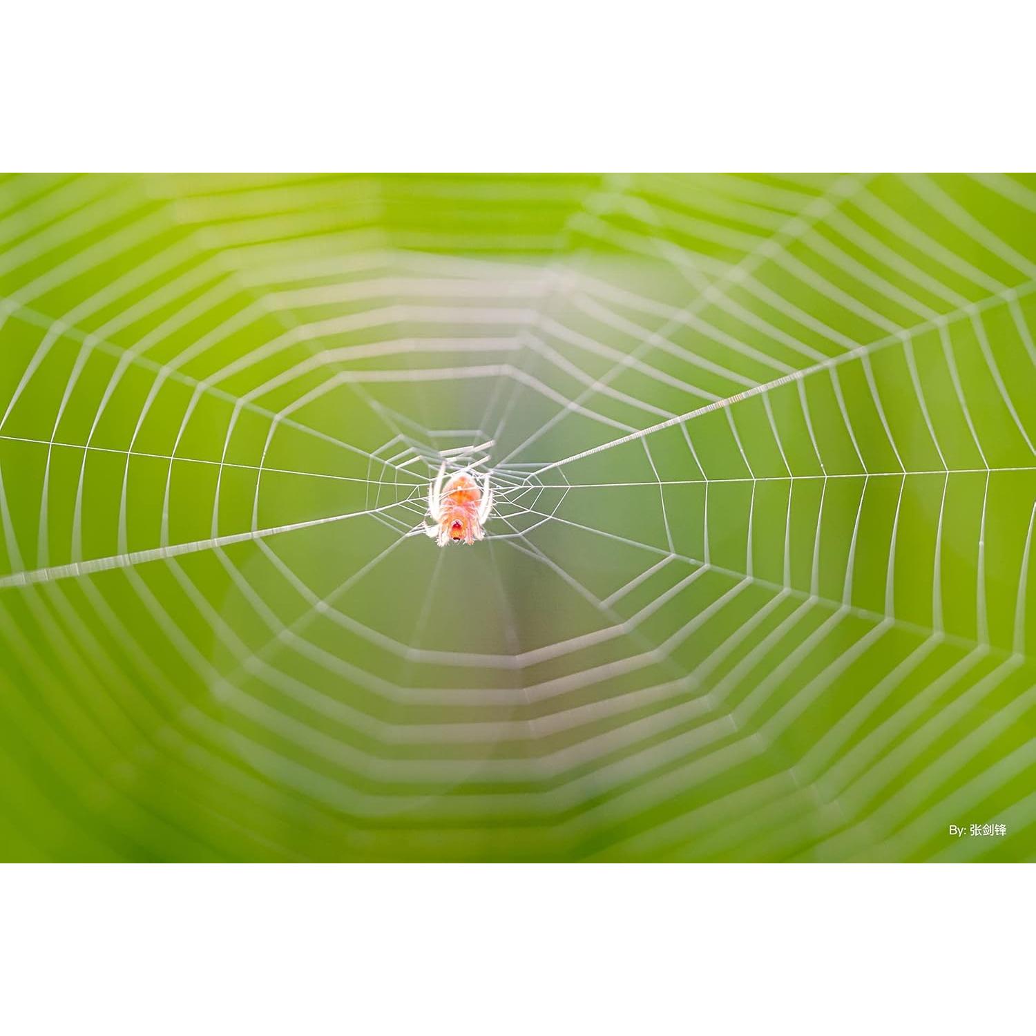 Lente Macro 40mm F2.8 TTArtisan para Cámaras Sony E