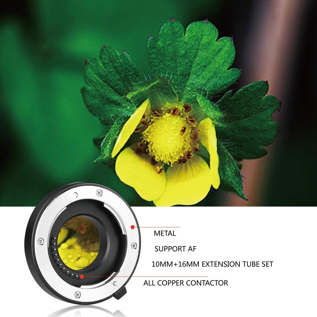 Tubo de Extensión Automático Meike MK-P-AF3A 10mm 16mm