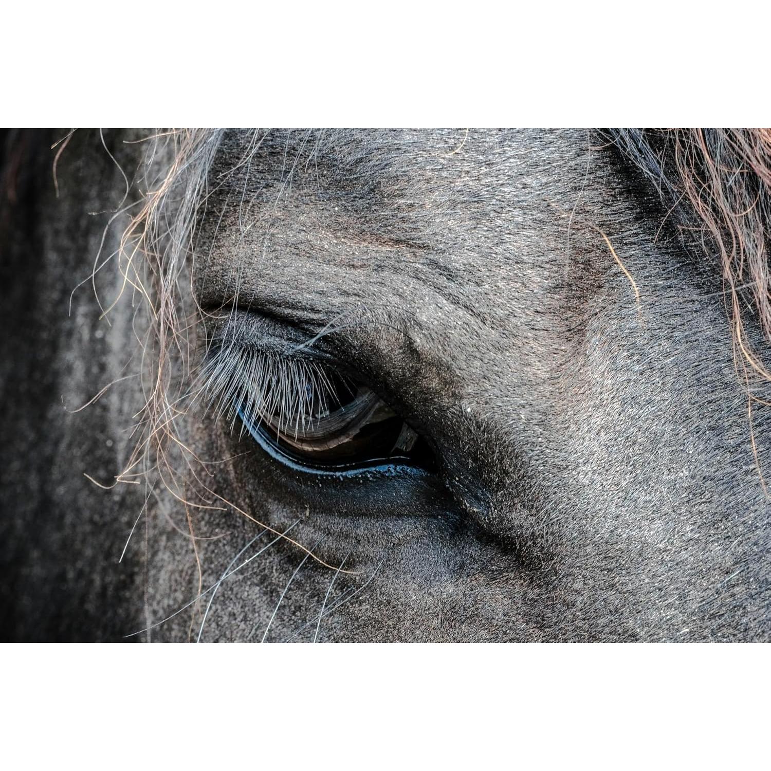 Lente Macro 10x Digital Nc para Cámaras DSLR 37mm