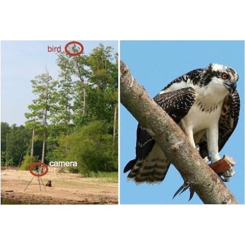 Lente Telefoto 500mm HD OPTURA para Cámaras DSLR Canon