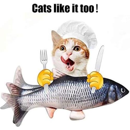 Pez Eléctrico Interactivo Xuanyun Rojo 27,9 cm Carga USB