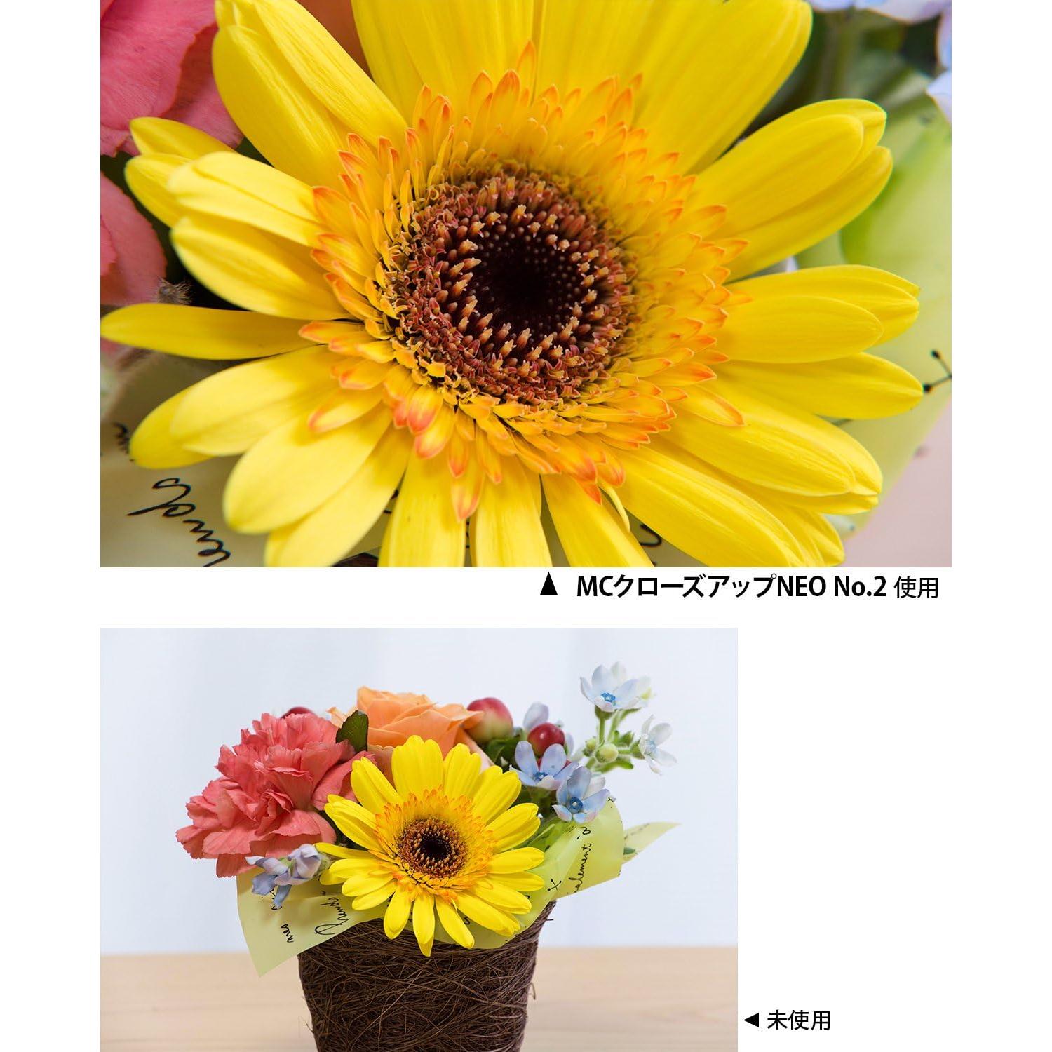 Filtro de lente Kenko MC No.2 52mm para fotografía macro