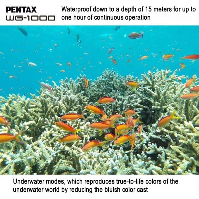 Cámara Digital Impermeable PENTAX WG-1000 Gris 15m