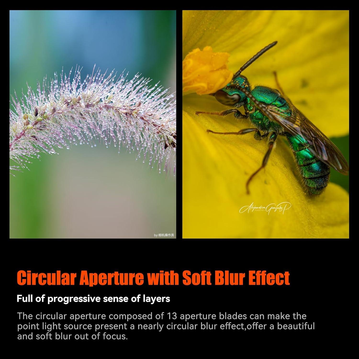 Lente Macro AstrHori 120mm F2.8 2X para Nikon Z - Alta Resolución