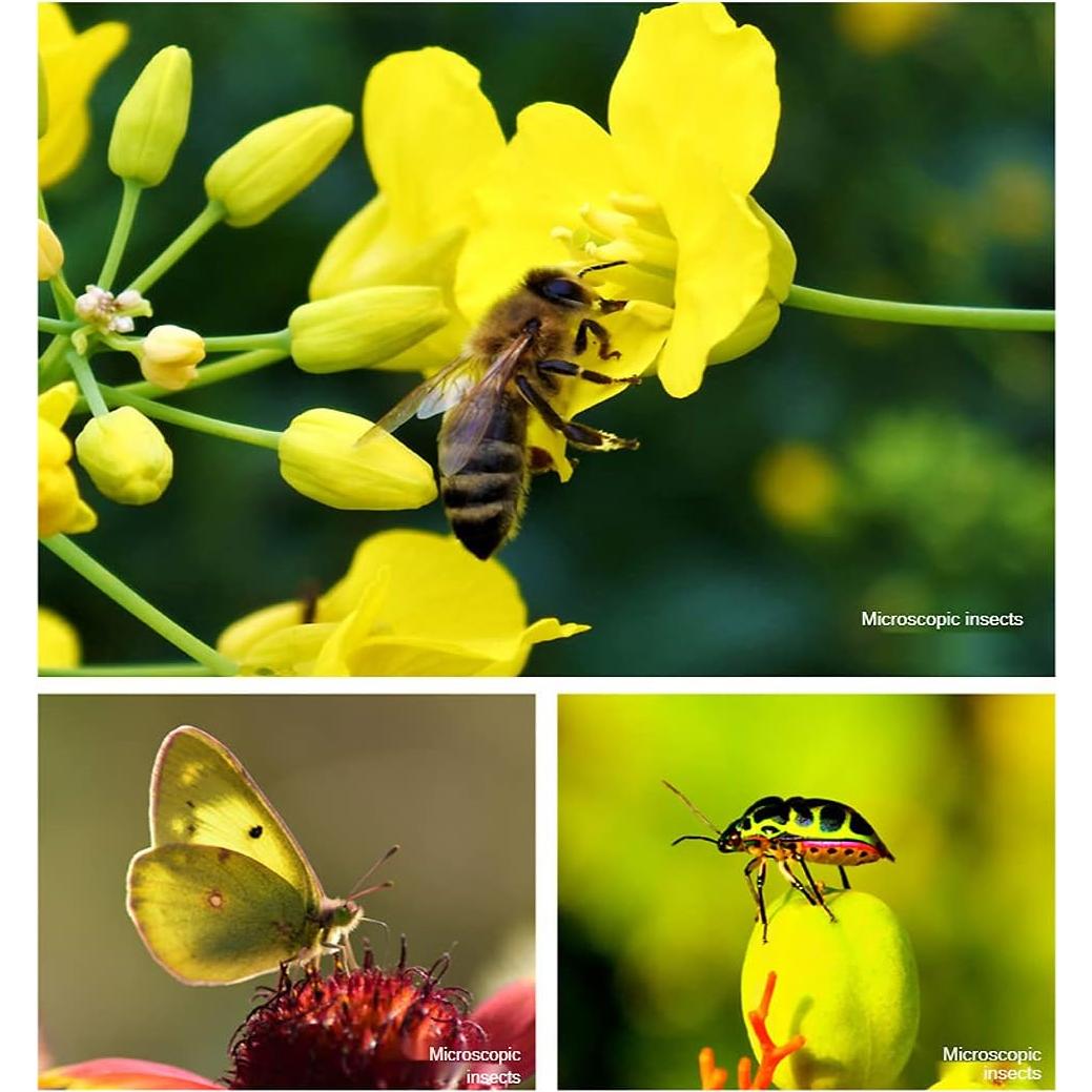 Lente Macro COSULAN 4K UHD para Smartphone 30-120mm