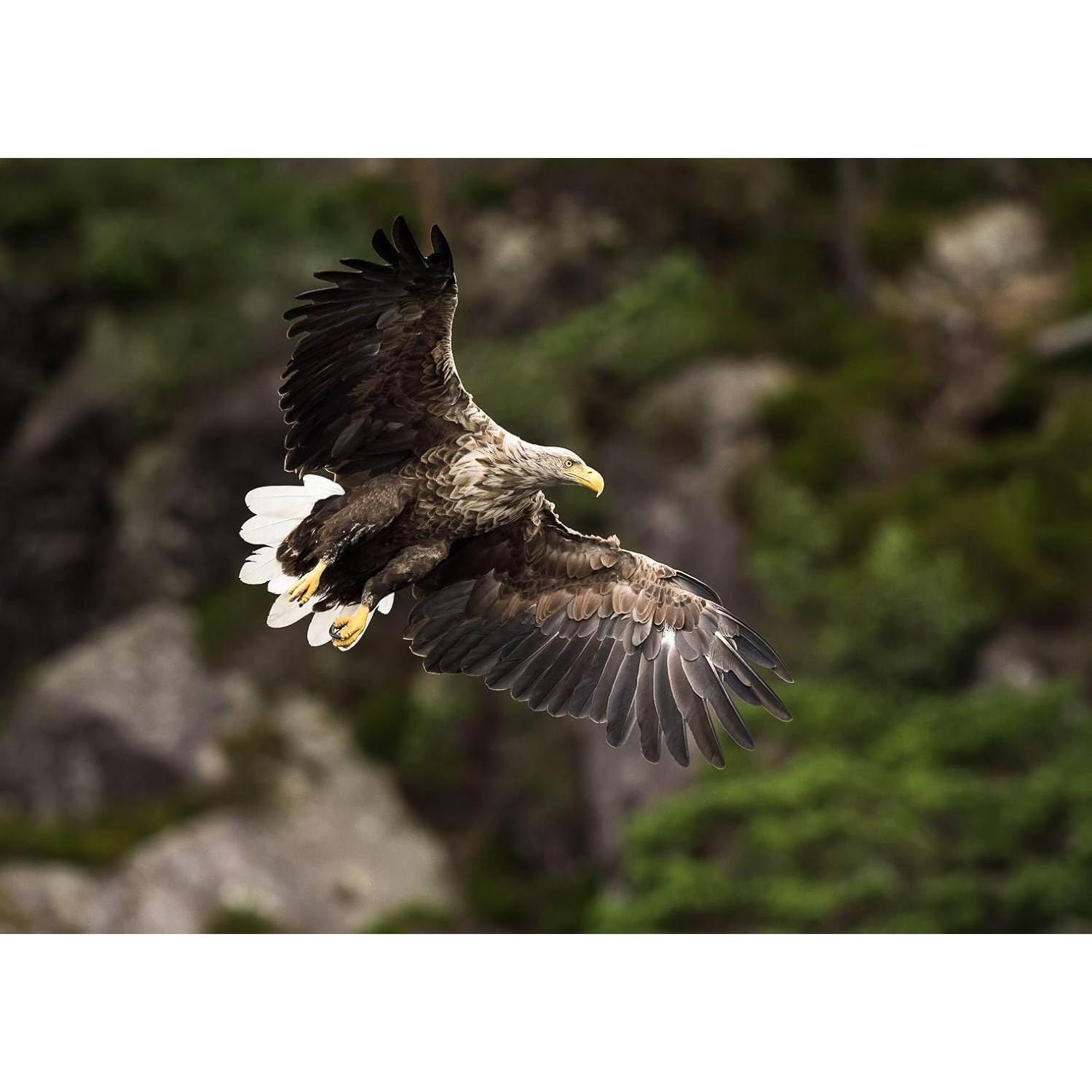 Lente Telefoto Manual OPTURA HD 500mm f/8 para Pentax